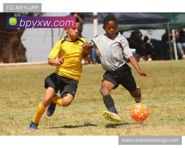 乐鱼直播体育平台全面升级,打造全新沉浸式体育直播体验引领行业新风尚